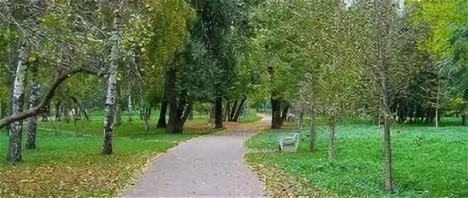 Небольшая роща 3