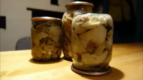 Синяя ножка маринованная рецепт