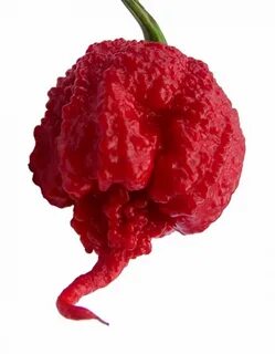 Коралина рипер