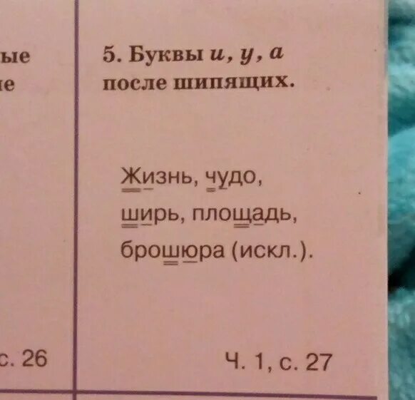 Слова из орфографического словаря с орфограммой. 10 Слов из орфографического словаря. Выпишите из орфографического словаря 10 слов. 10 Слов из орфографического словаря с орфограммой номер 5.