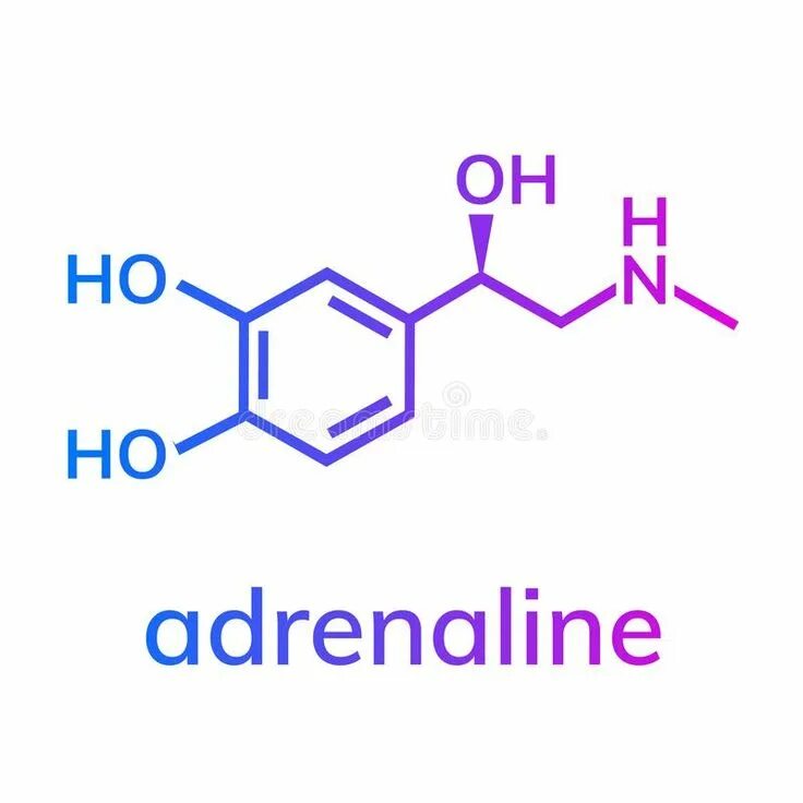 Adrenaline перевод
