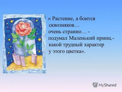 Маленький принц про розу