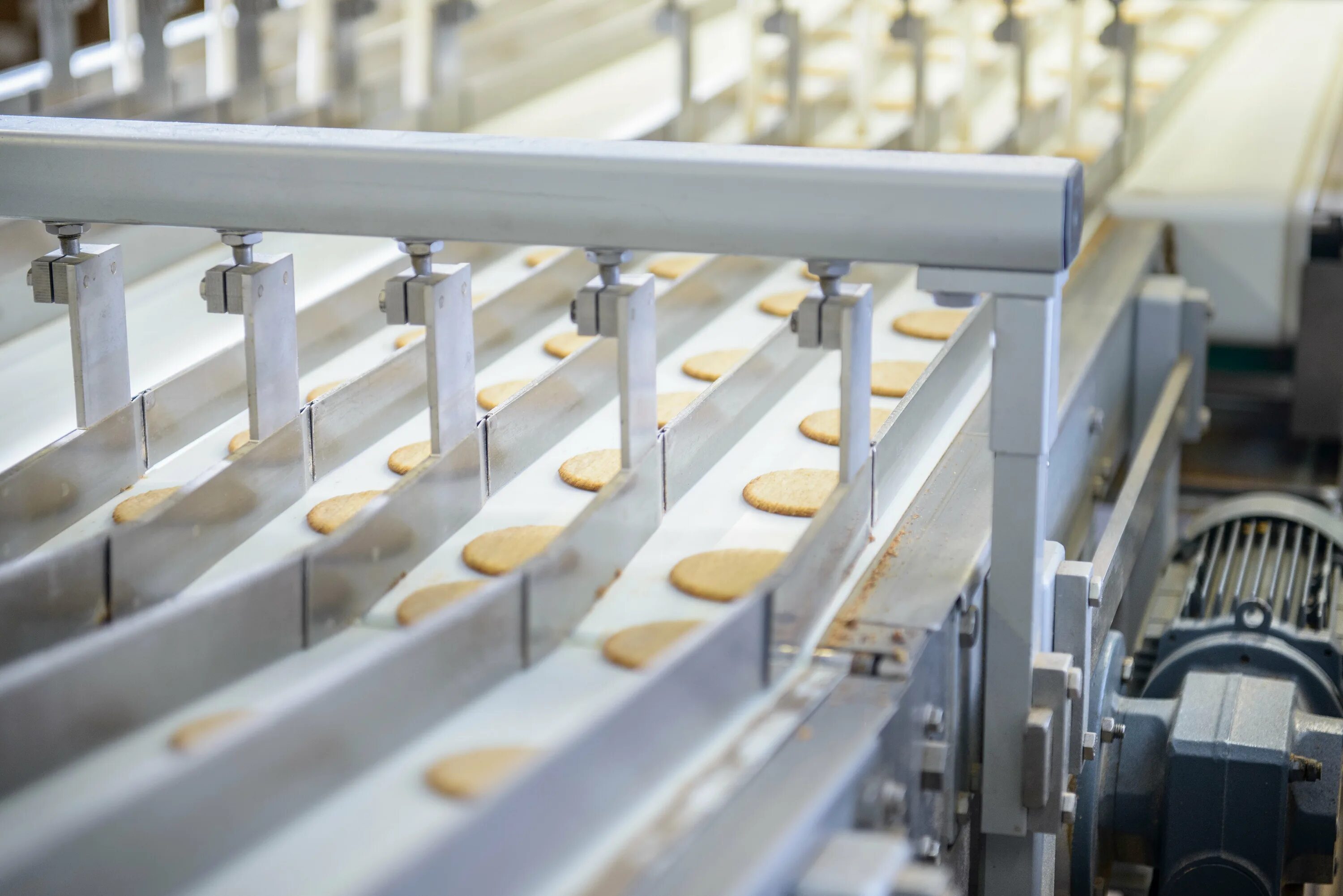 What is food processing. Линия по сборке яиц по ленте. industrial processing equipment photo stock.