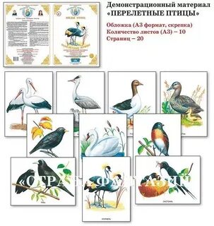 Художественная литература перелетные птицы