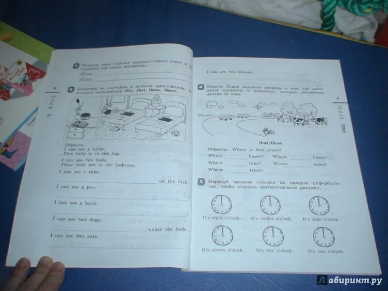 Английский язык step 5 unit 1. Английский язык 3 класс рабочая тетрадь Step 2. Английский Rainbow English 3 класс. Английский язык 3 класс рабочая тетрадь степ 5. Английский рабочая тетрадь 2 класс Step 3.