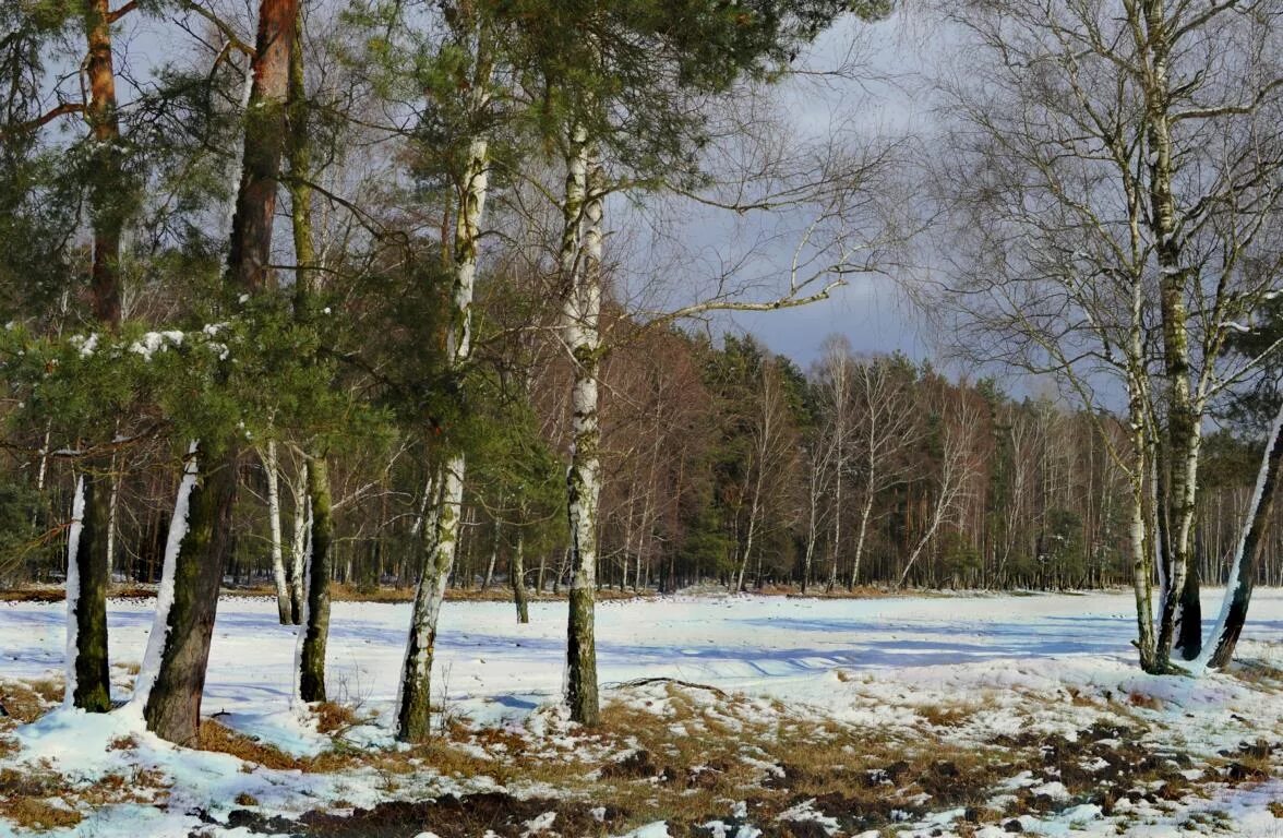 Весенняя Проталинка Левитана.