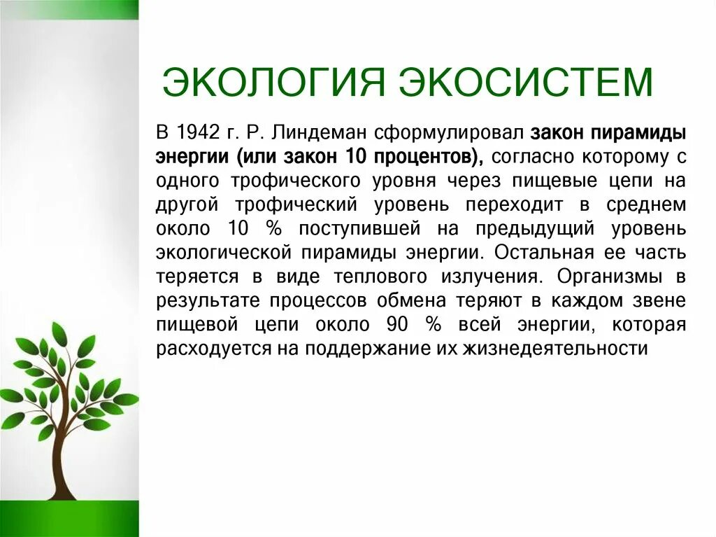Экосистемная экология. Экосистема это в экологии. закон линдемана экология. задачи социальной экологии. решение экологических задач.