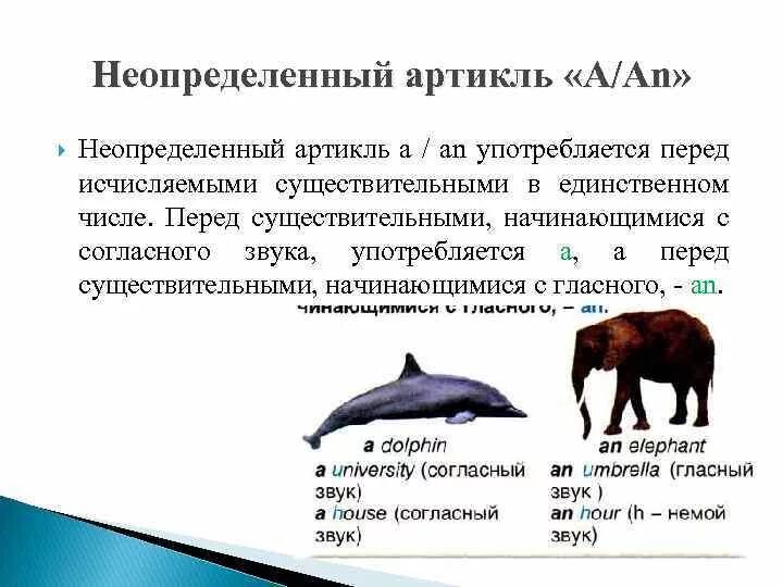 Артикль перед множественным существительным. Неопределенный артикль. неопределенный артикль перед существительными. неопределенный артикль а употребляется перед исчисляемыми. неопределенный артикль не употребляется.