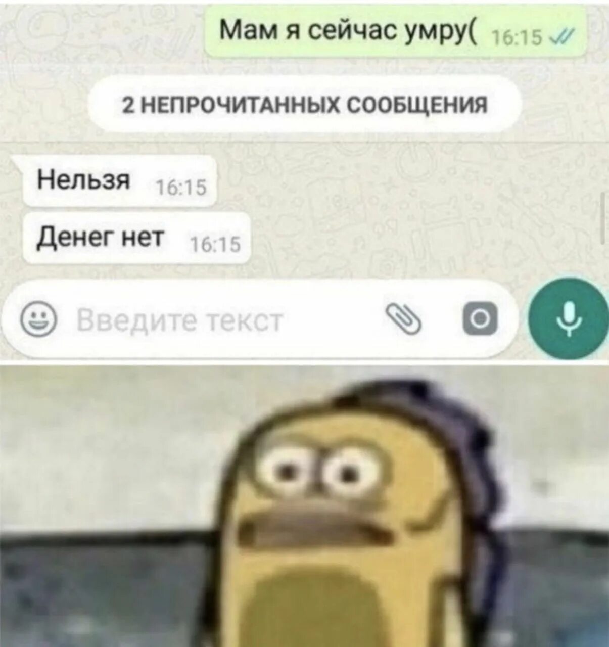 2 непрочитанных сообщения. Смешные неотправленные сообщения. приколы с неотправленными сообщениями. непрочитанные сообщения мем. мем переписка с мамой.