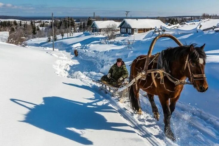 Free Images : snow, weather, season, footwear, sled, blizzard, freezing, sleigh,