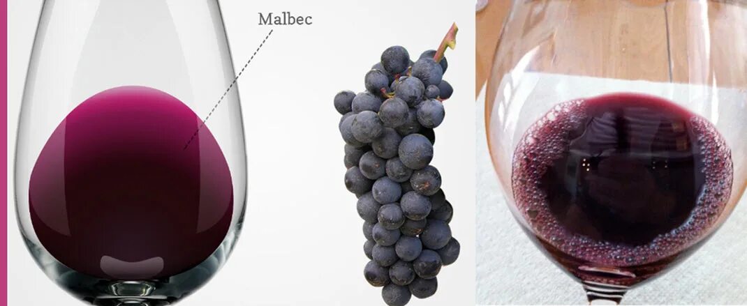 Янтарный цвет вина. Тоне вино. Цвет вина в бокале. Янтарное вино. Бокал вина.