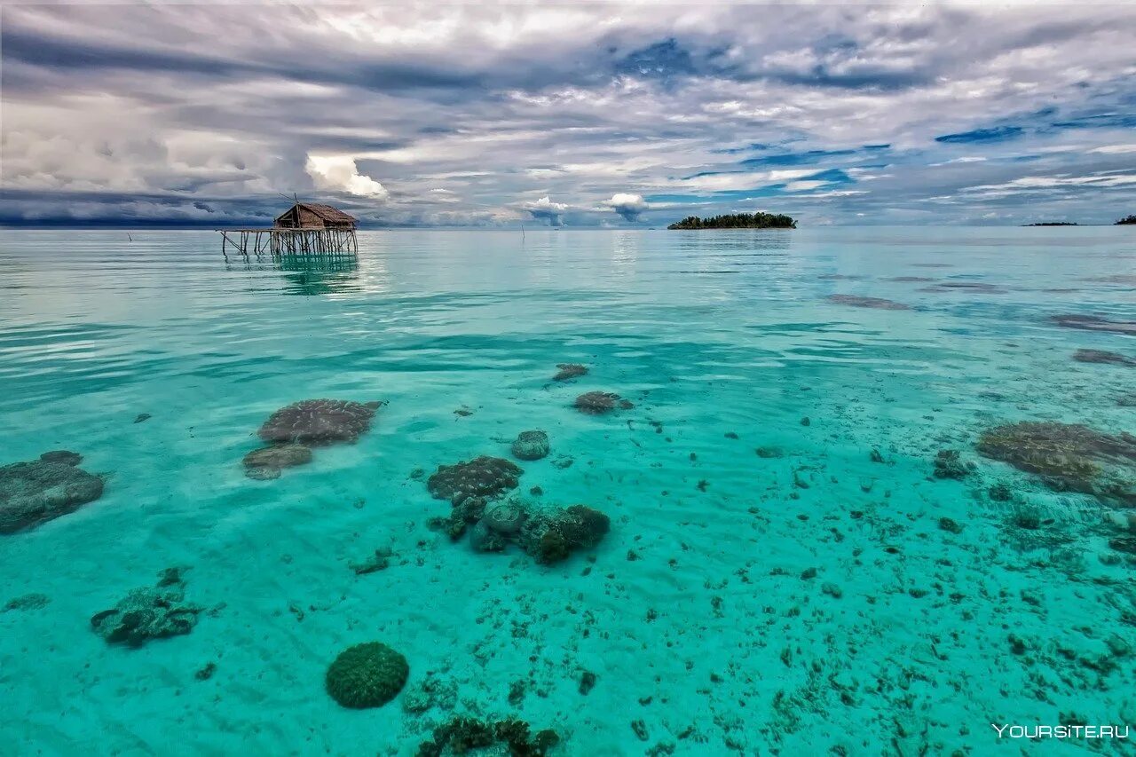 Индонезия индийские океан. Бирюзовое море. Прозрачное море. Прозрачная вода.