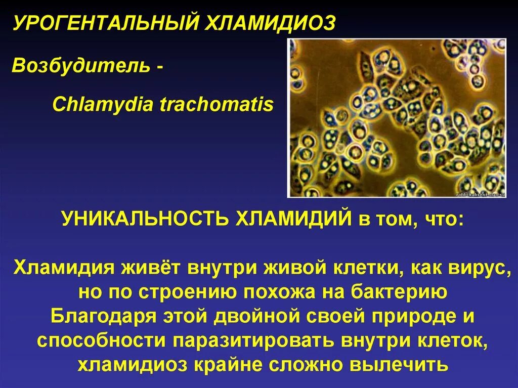 Хламидии 4. Урогенитальный хламидиоз возбудитель. Инфекция хламидия трахоматис.