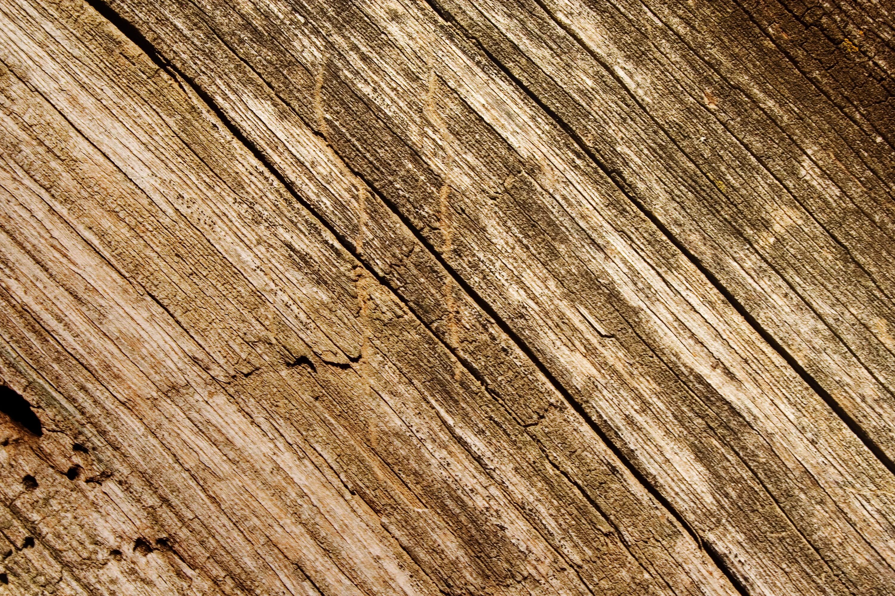 Textures samples