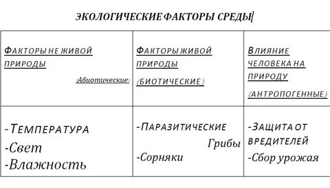 Заполните таблицу факторы среды обитания