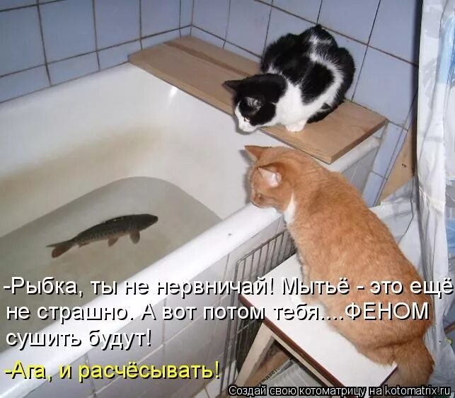 Ответы Mail.ru: А вы какие приёмы знаете
