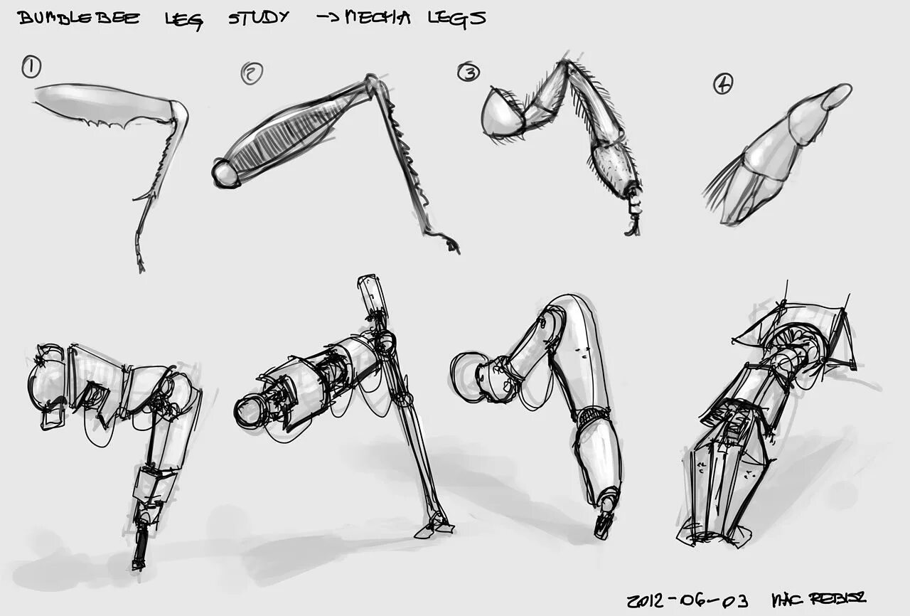 Insect legs. Чертеж робота. Роботизированные конечности. Чертежи роботов для моделирования. Бионический протез руки чертеж.