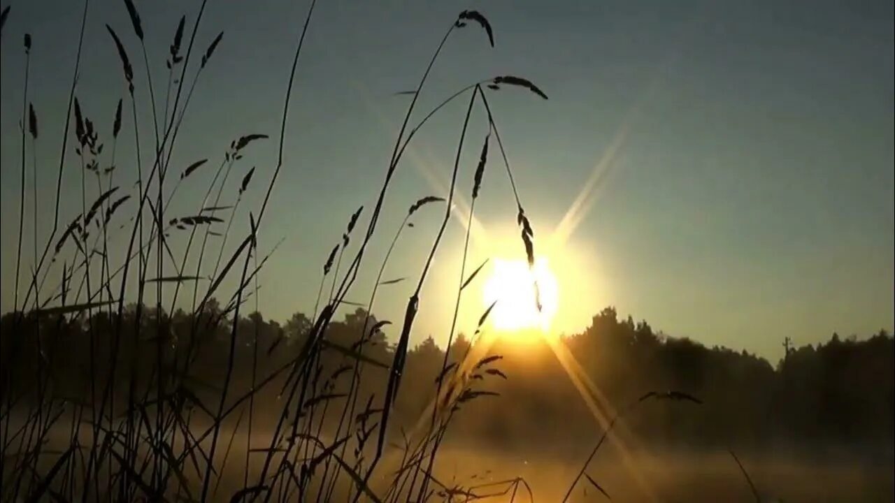 Сколько бы кукушка ты не куковала песня. Туман над водой песня. Мне в тишине считаешь годы ты, Кукушка.. Заставка на песню Кукушка.