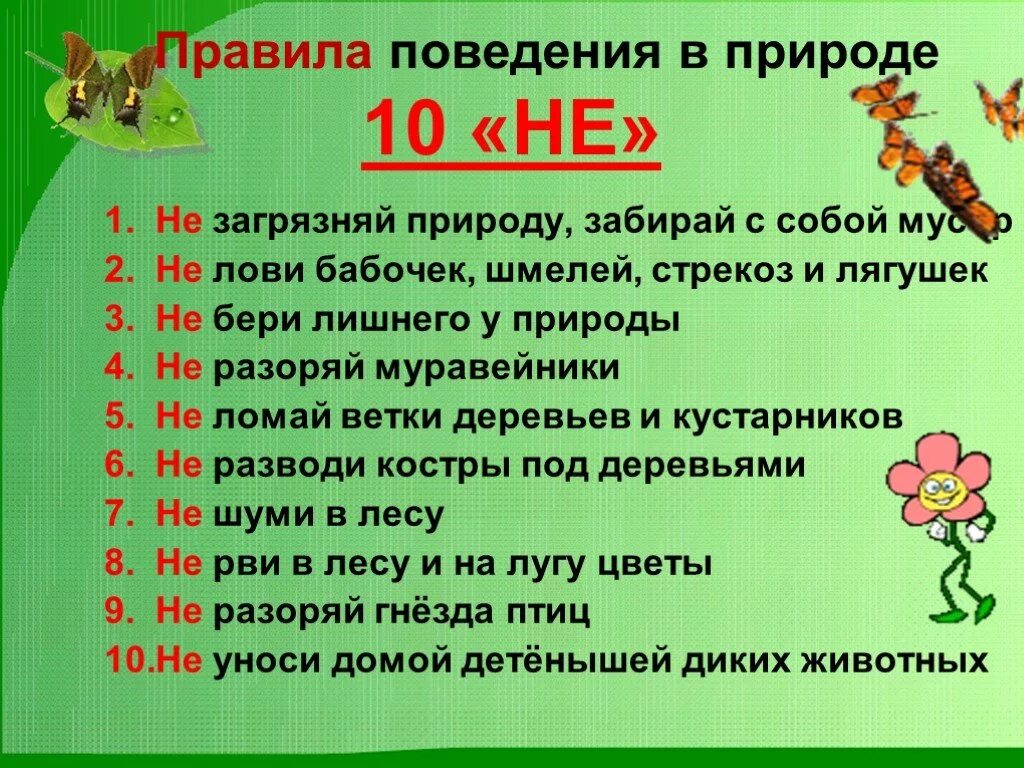 Что можно делать общо. Правила поведения на природе. Правила проведения на природе. Правило проведение природе. Правила поведения намприроде.