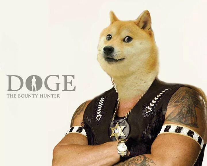 Доге качок. Доге. Доги Мем. Doge мемы. Doge в очках.