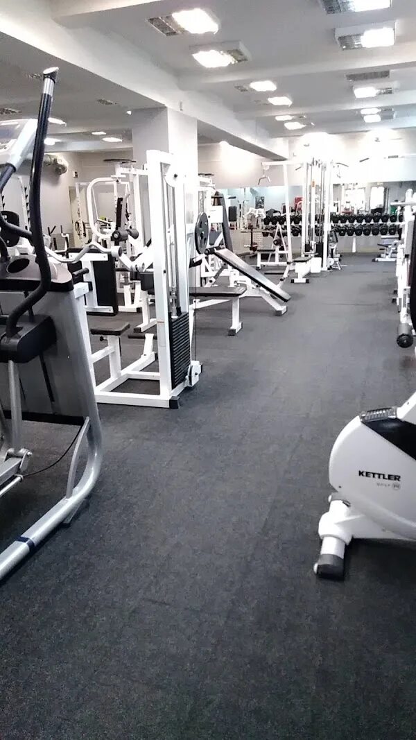 Спортзал сириус. Спорткомплекс сириус. Omega sirius 4*. Дельта сириус тренажерный зал. Powerhouse gym юбилейный просп 57.
