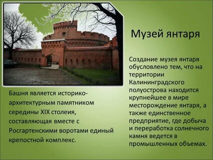 Калининград доклад