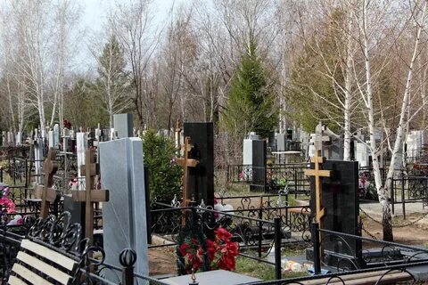 Строительство нового кладбища