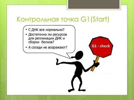 Что такое контрольная точка
