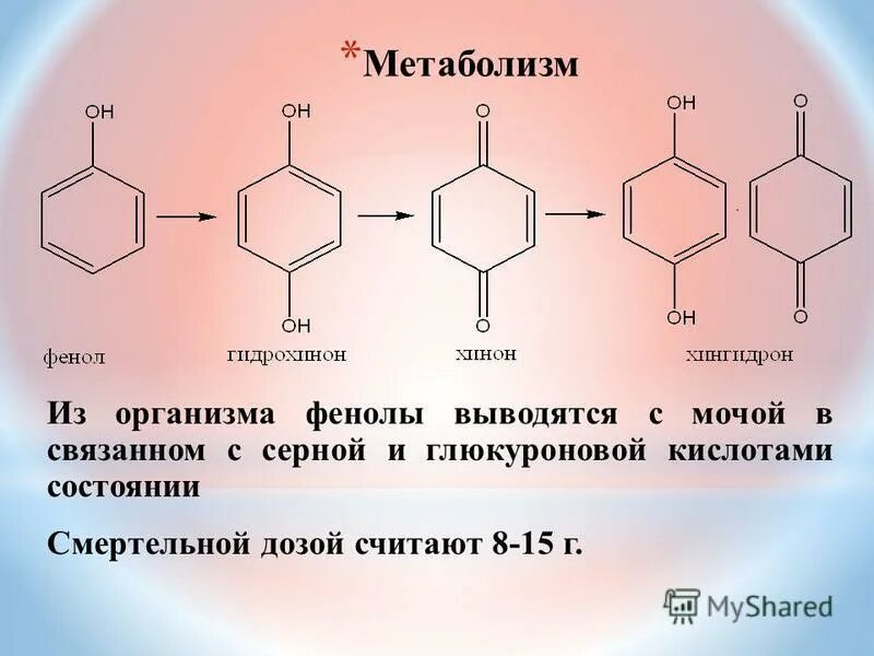 Группы метаболизма. Метаболизм анилина в организме. Сульфонирование фенола. Метаболизм с глюкуроновой кислотой. Фенол с глюкуроновой кислотой.