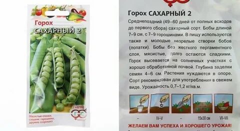 Горох время
