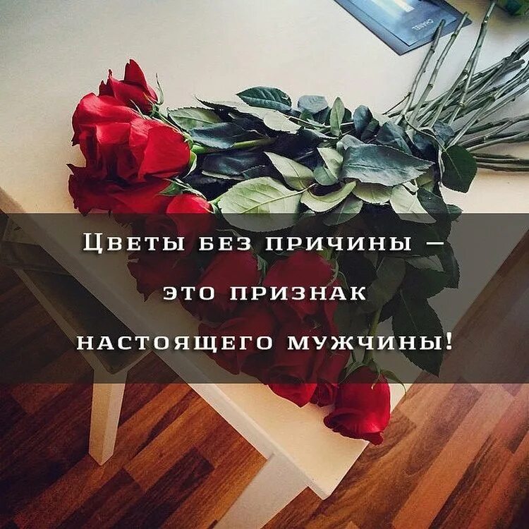 Цветы от любимого цитаты. Цитаты про букет цветов. красивые цитаты о букетах. цветы для женщины цитаты. высказывания про цветы.