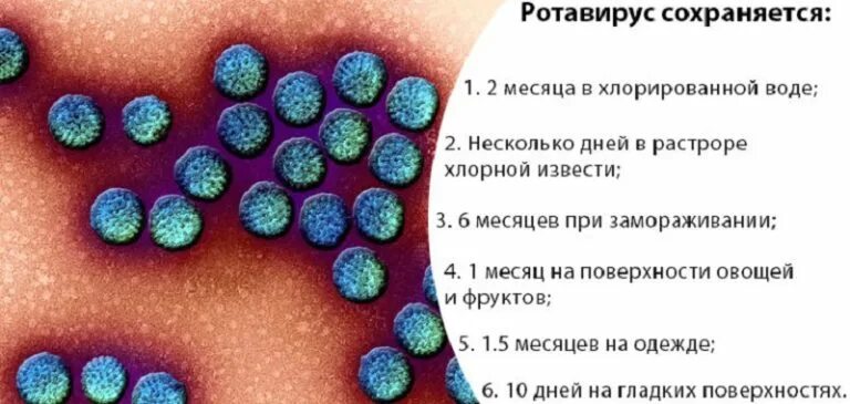 Ротавирусная инфекция. Ротовирус долго заразен. Ротавирусы симптомы.