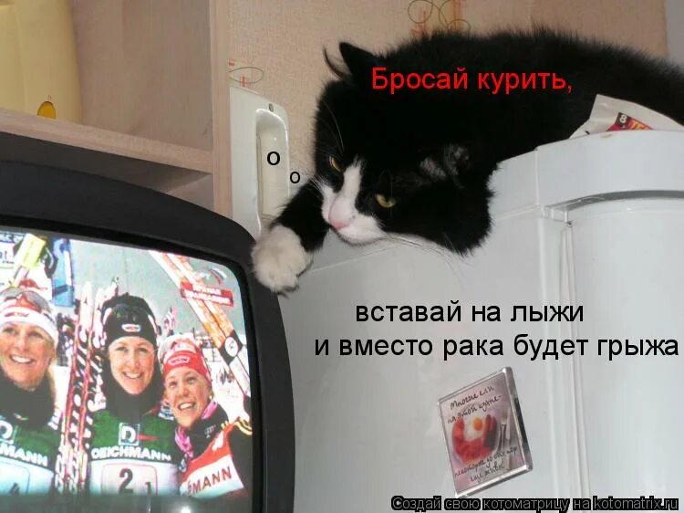 бросай бухать вставай на лыжи. вставай на лыжи. бросай курить вставай на лыжи картинки. бросай бухать вставай на лыжи. бросай курить вставай на лыжи картинки.