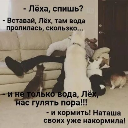 Встала и пошла слушать