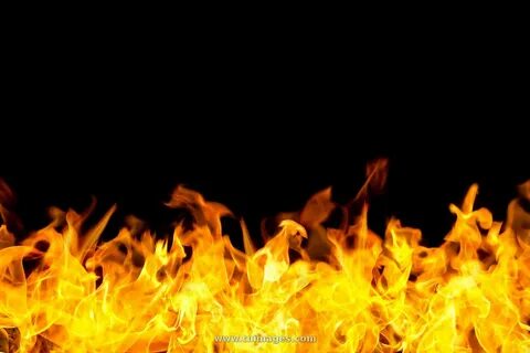 Burn forms