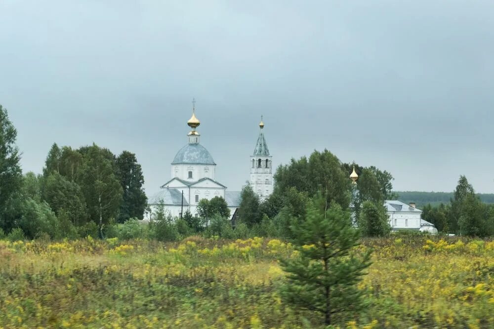Никольский женский монастырь, Санино (Суздальский район), фотография. общий вид 