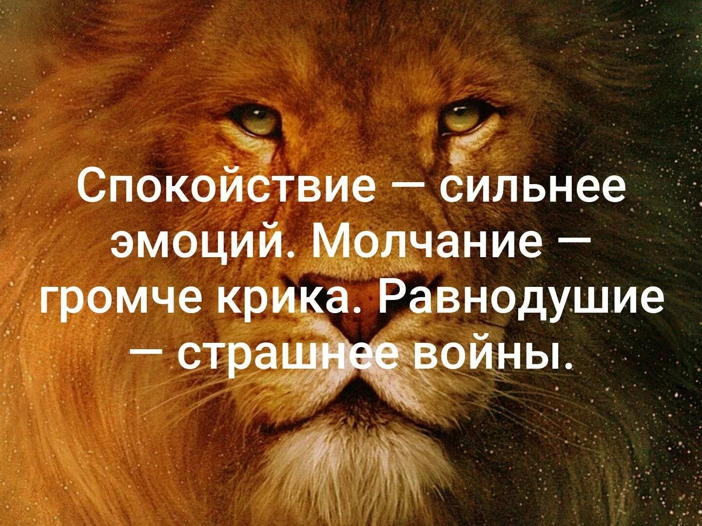 Спокойствие сильнее эмоций. Спокойствие сильнее эмоций молчание громче крика равнодушие. Спокойствие Льва. Молчание сильнее крика. Молчание страшнее