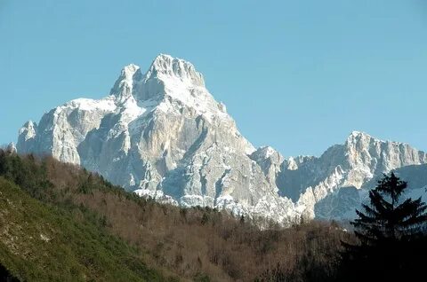 Monte parivision