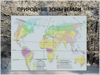 Виды природных карт