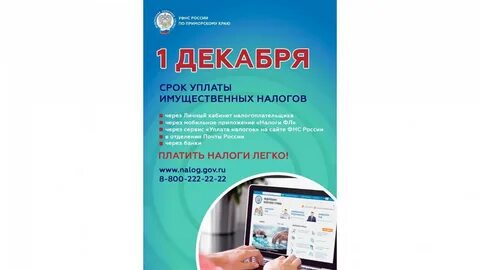 Налог до 31 декабря