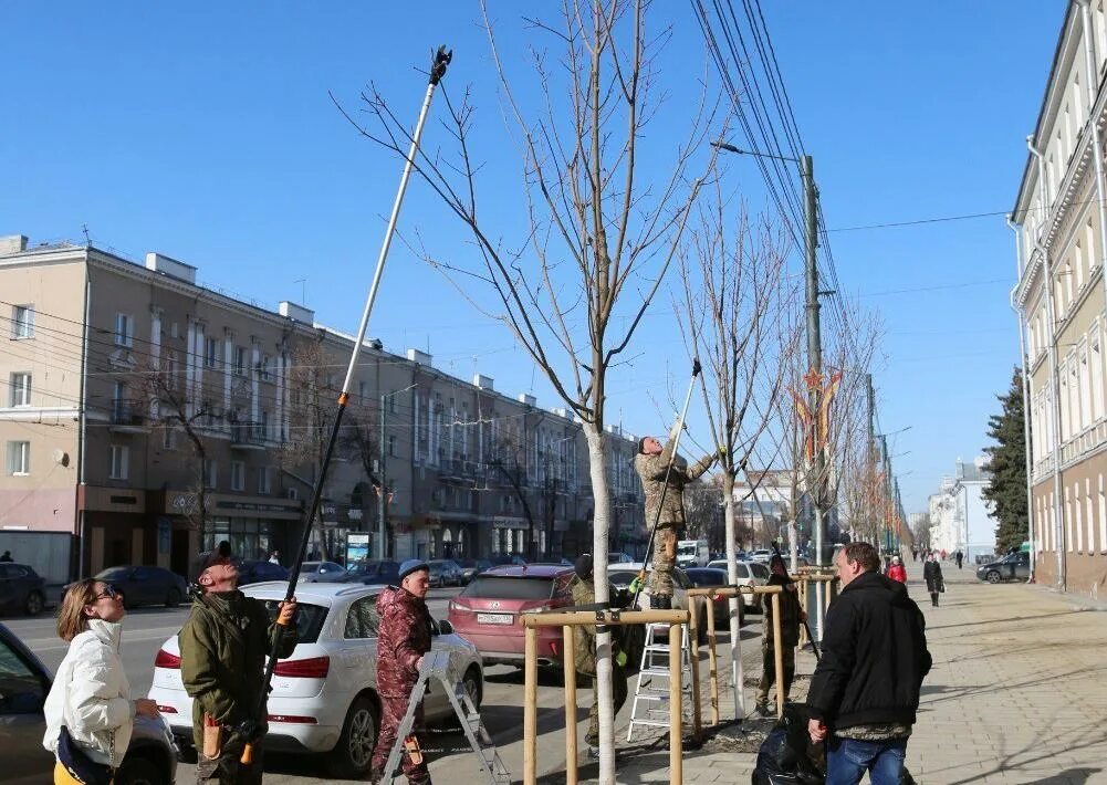 Клены на проспекте революции Воронеж. Завиток, Воронеж, проспект революции. Воронеж, просп. революции, 23. Проспект революции Воронеж клены новые. Драка на проспекте революции воронеж