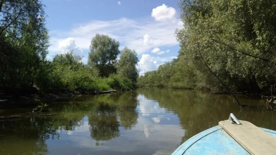 Рыбалка в сергиевском районе клевое. Сузунский район Гагаринский парк. Сузун озеро. Сузун клевое место. Сузунский район Новосибирской области.