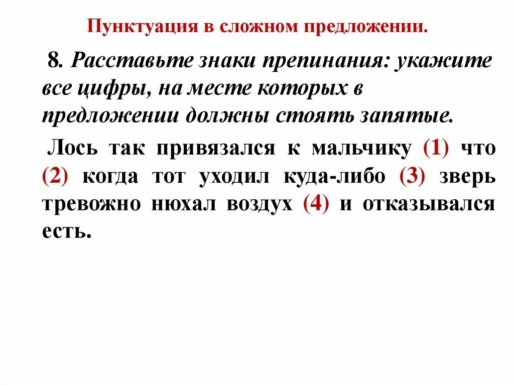 Запятые в сложных предложениях тест. Знаки препинания при сложных предложениях. Пунктуация при сложных предложениях. Сложные предложения знаки препинания в сложных предложениях. Пунктуация в сложном предложении.