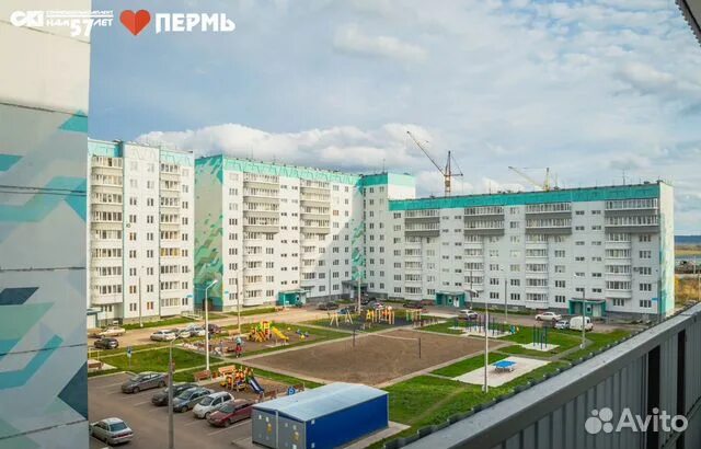 Фролы пермь. Фролы пермь. Фролы сибирская 35. Весенняя 14 фролы. Белые росы фролы пермь.