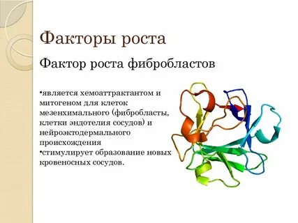 Фактор роста открытие