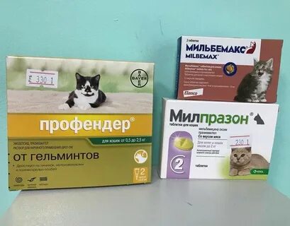 Глистогонное для кошек отзывы