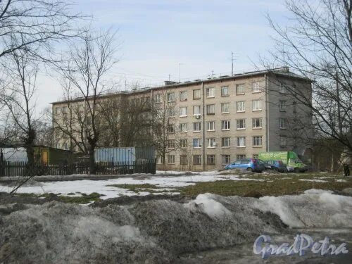 Санкт-петербург политрука пасечника дом2. Торики политрука пасечника. Улица политрука пасечника, 17. Горелово улица политрука пасечника. Улица политрука пасечника 1 к1.
