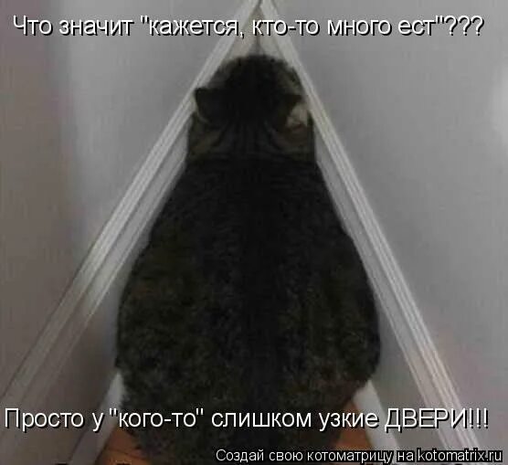 Я устал чего то ждать