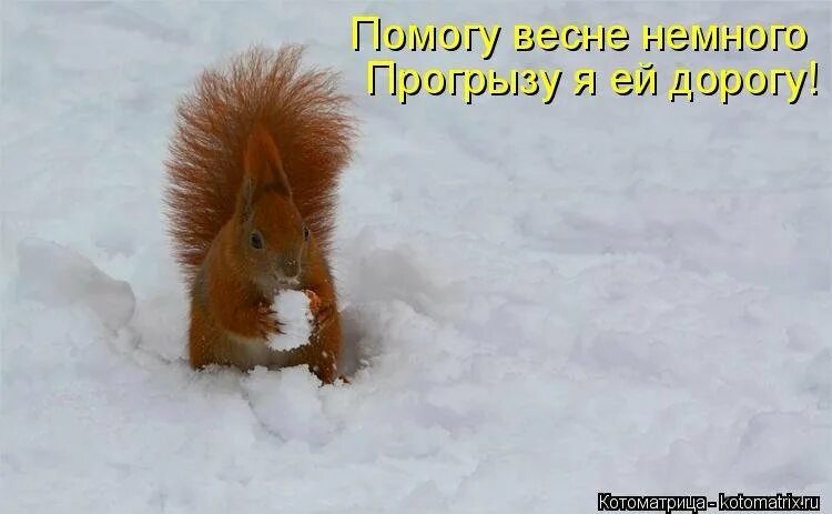 Зимой нет а летом