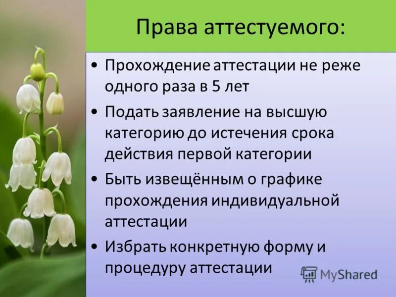 Проходить не реже одного раза. Проходить не реже одного раза